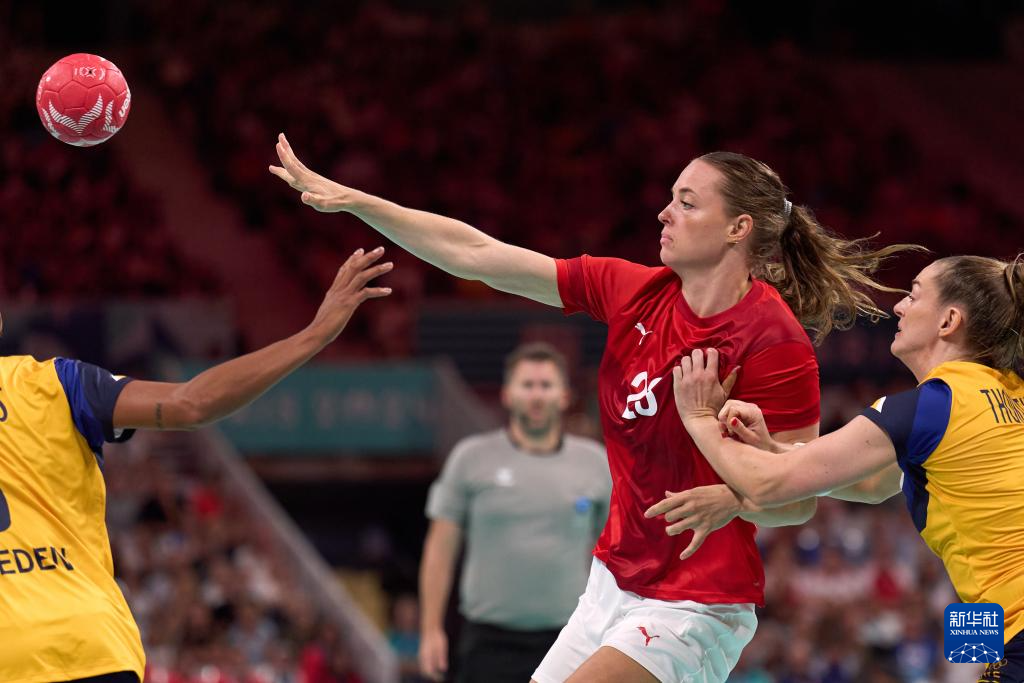 瑞典代表团在手球比赛中表现出色