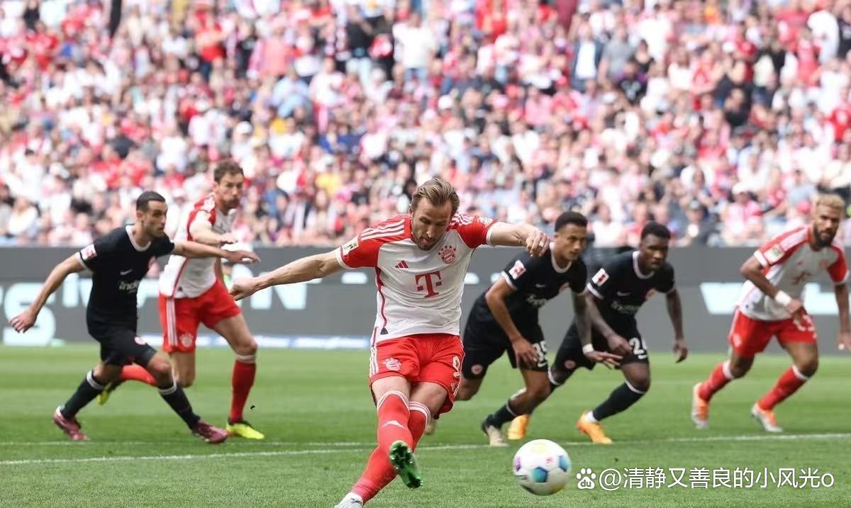 击败所有对手，欧洲球队斩获胜利