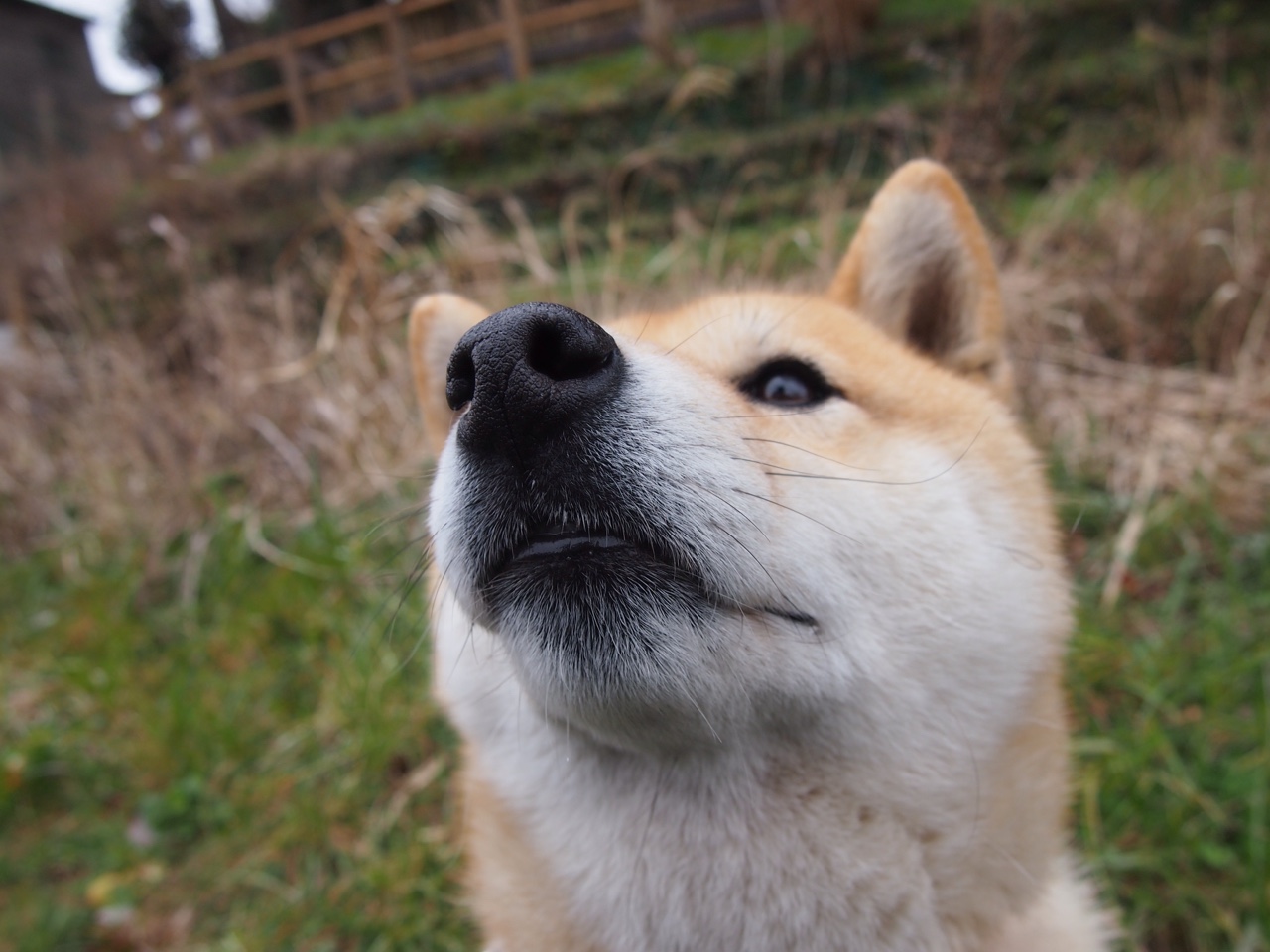 雷火电竞-奥亚尔萨瓦尔的一击与几内亚的怒吼，当浪漫主义撕碎战术板的夜晚