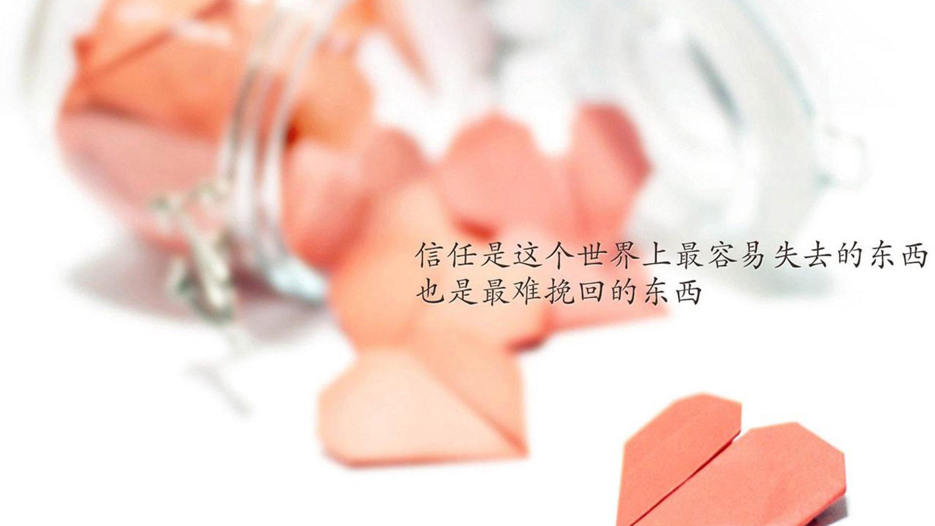 世纪跨界，当紫金军团鏖战辽宁铁骑，塔图姆压力下的破茧成蝶