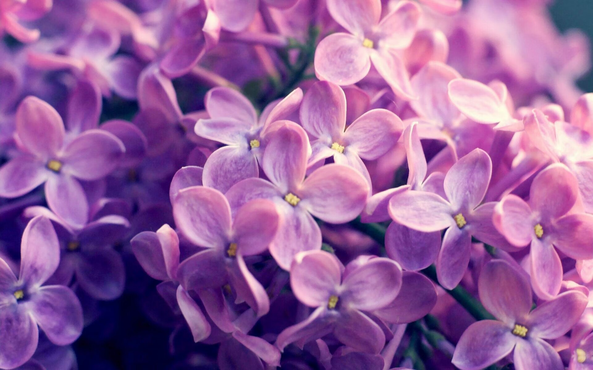 雷火电竞简介-西甲国家德比之夜，利拉德扛起全队，英雄交响曲中的不眠指挥家