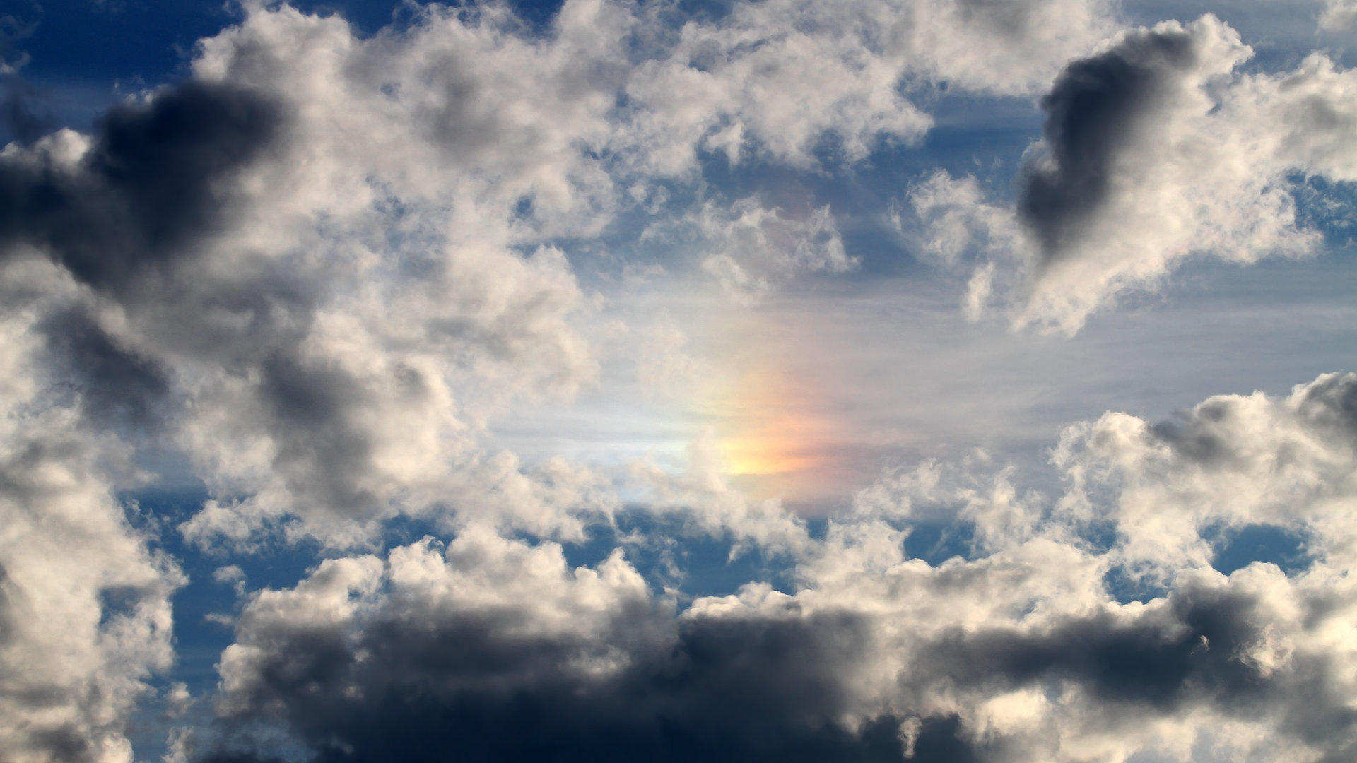 跨越球类的王冠加冕日，凯尔特人血拼热火，约基奇在欧冠接管比赛