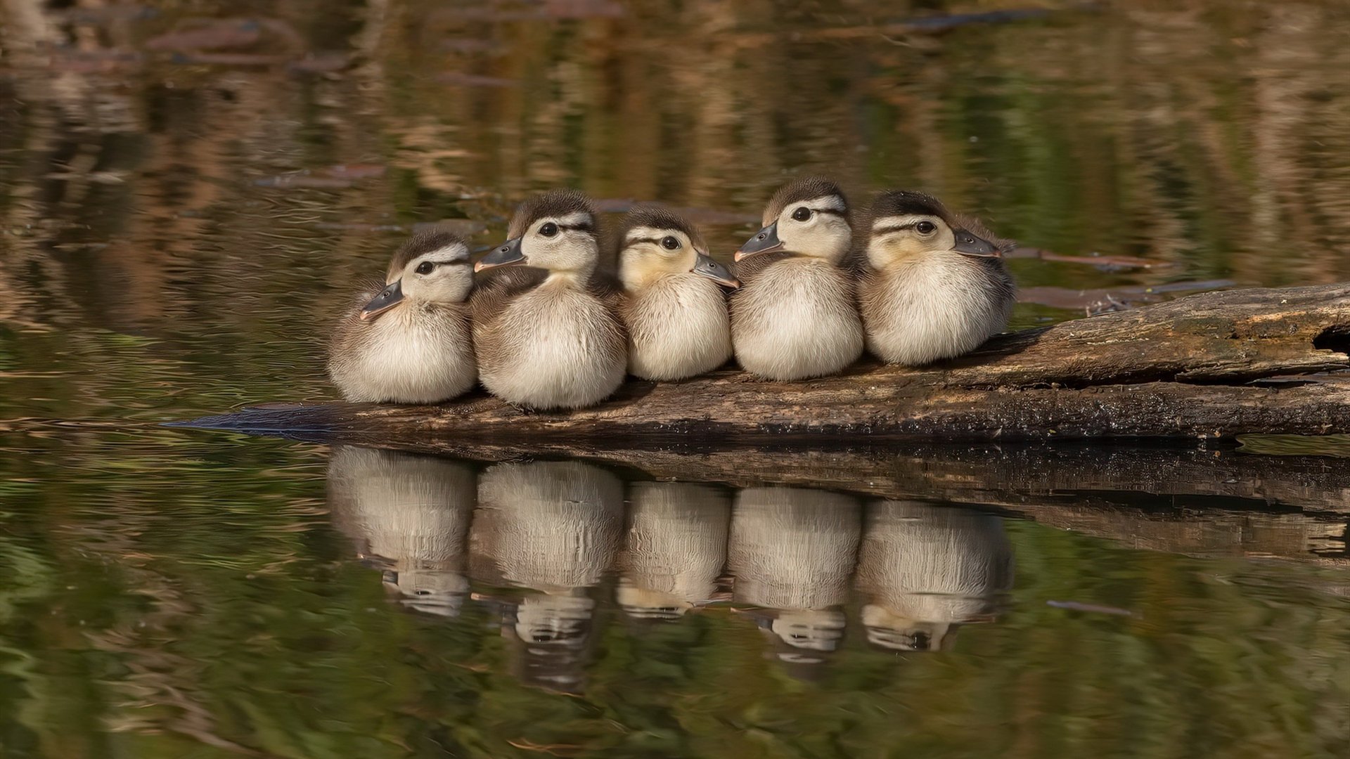 金戈铁马！奥运关键战之夜，金玟哉筑起唯一性长城