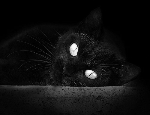 足球是圆的，但通往胜利的路径不止一条