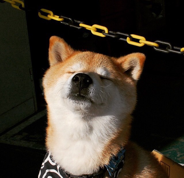 单节24-0风暴，步行者惊天逆转背后，约基奇为何成为关键先生？