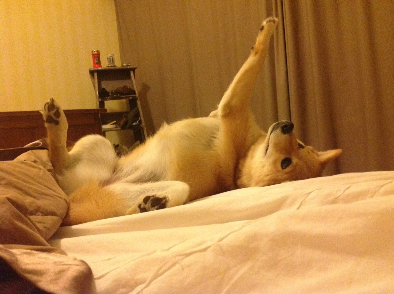 撕裂夜幕的桑巴，维尼修斯如何在西决生死战中，将皇马的绝境跳成个人独舞